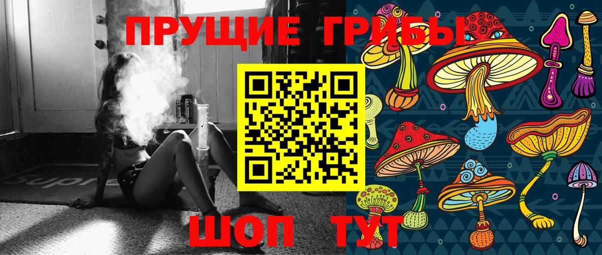 Псилоцибиновые грибы Psilocybe Всеволожск